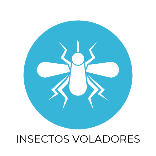 Desinsectación insectos voladores